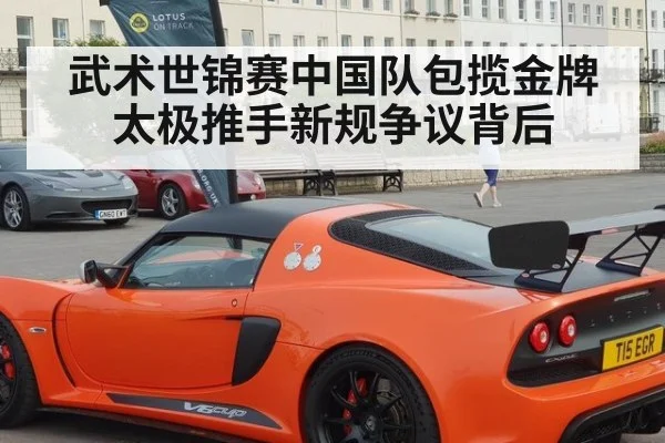 武术世锦赛中国队包揽金牌太极推手新规争议背后